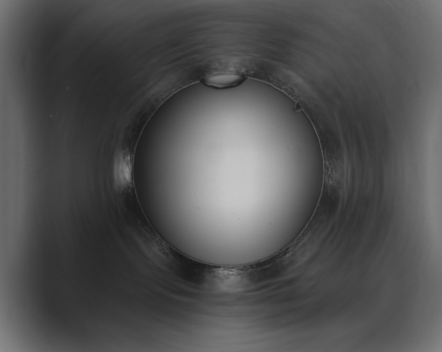X0000089850095200706281259