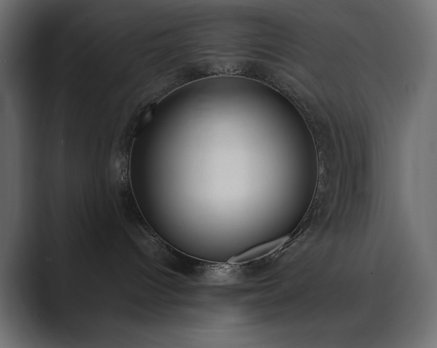 X0000089850096200706281259