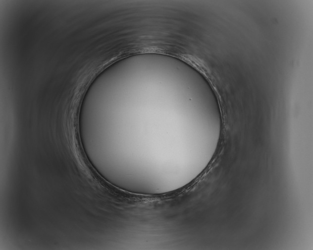 X0000089850097200706281259