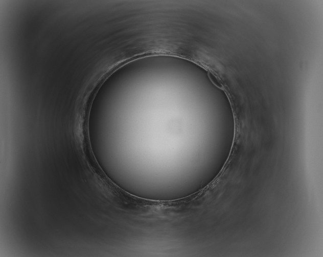 X0000089850098200706281259
