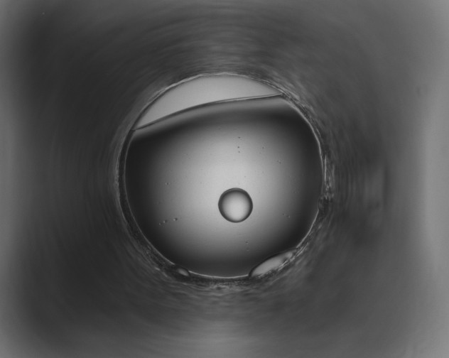X0000089850099200706281258