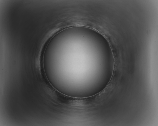 X0000089850104200706281258