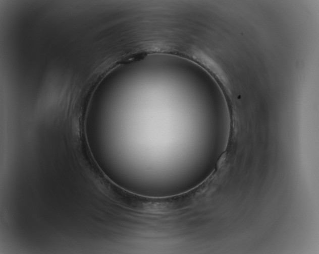 X0000089850105200706281258