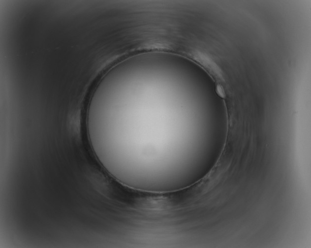 X0000089850108200706281258