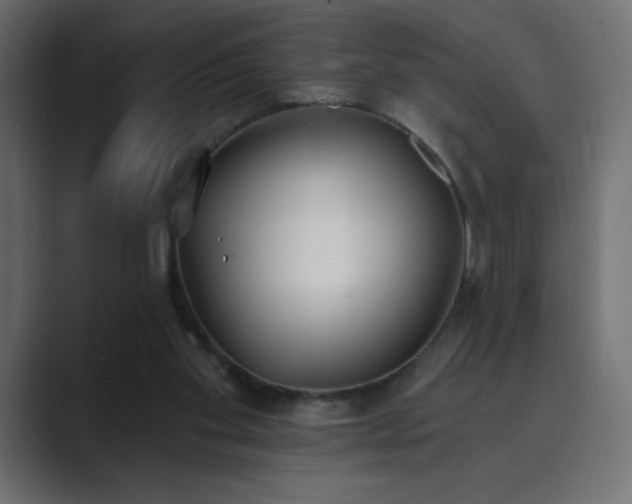 X0000089850109200706281258