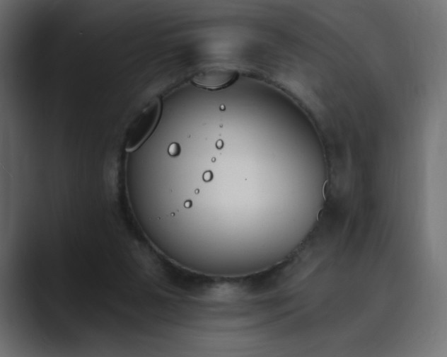 X0000089850111200706281258