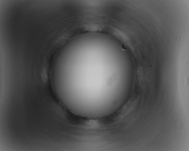 X0000089850114200706281258