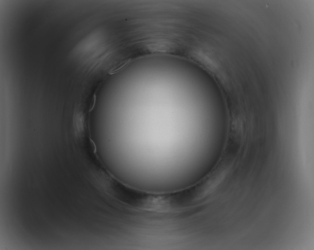 X0000089850117200706281258