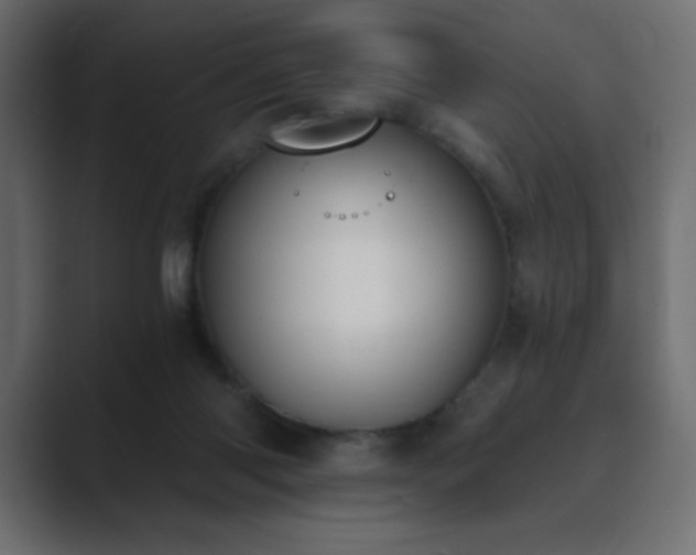 X0000089850118200706281258