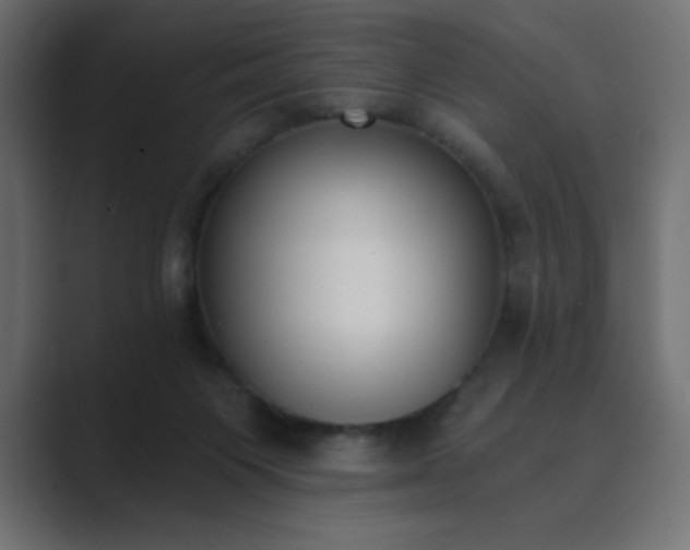 X0000089850119200706281258