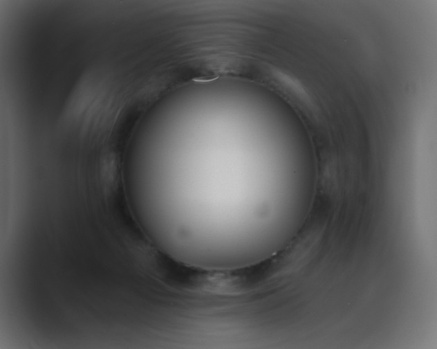 X0000089850121200706281258