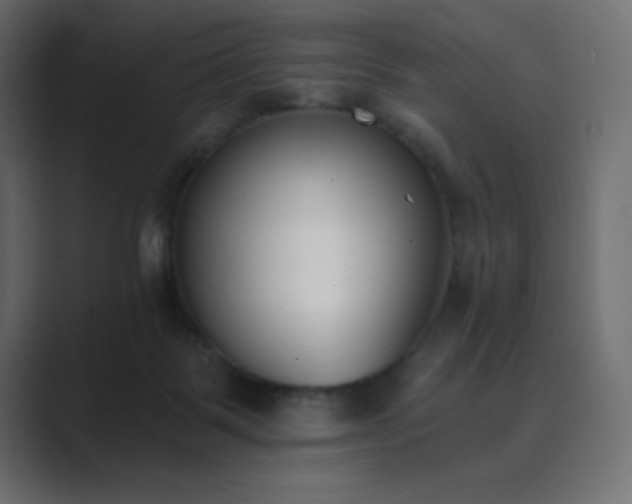 X0000089850123200706281258