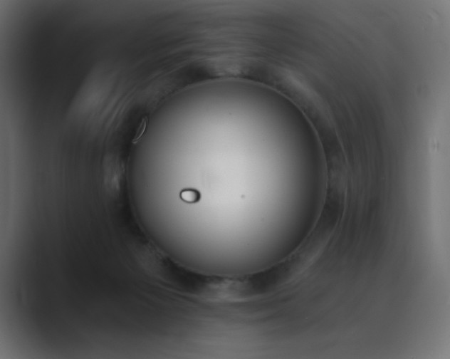 X0000089850125200706281258