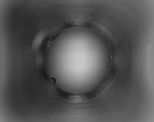 X0000089850129200706281258