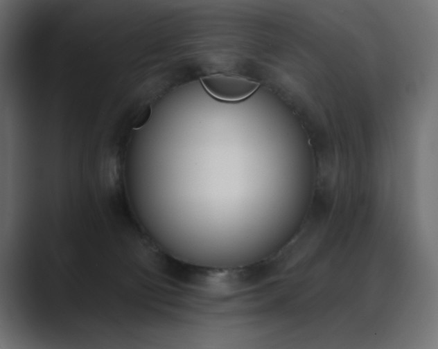 X0000089850130200706281258
