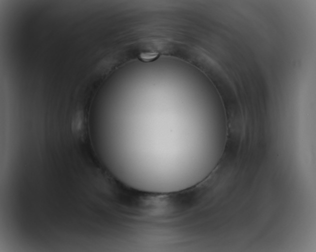 X0000089850132200706281258