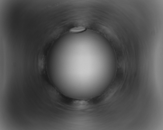 X0000089850133200706281258