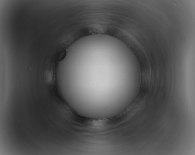 X0000089850134200706281258