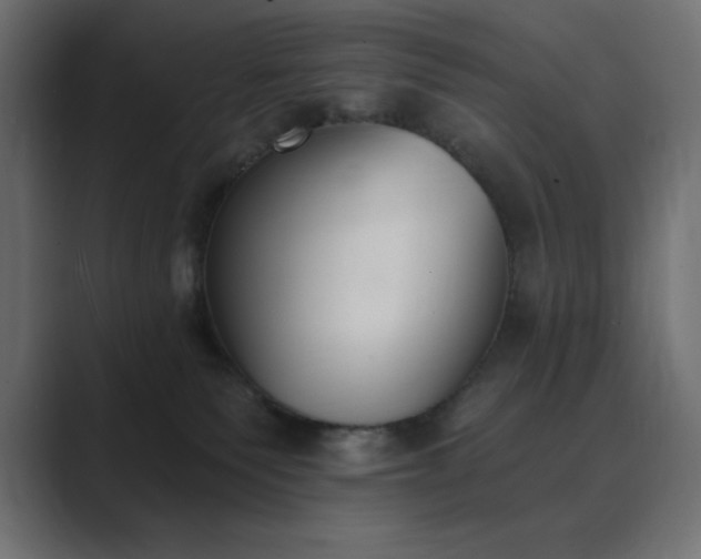 X0000089850135200706281258
