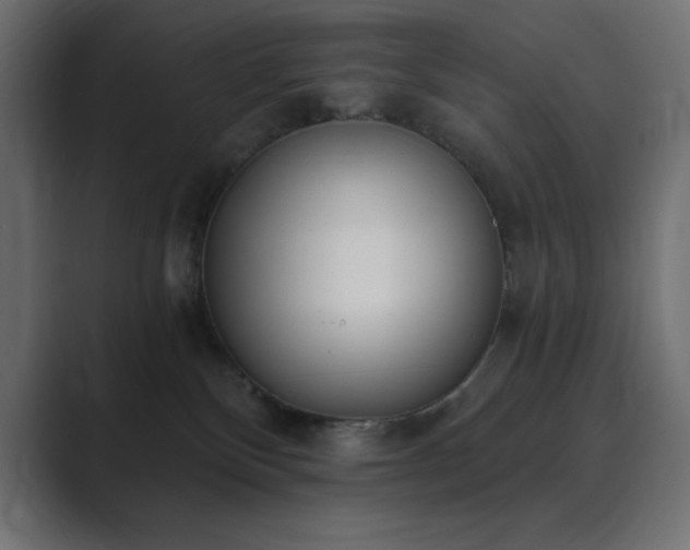 X0000089850136200706281258