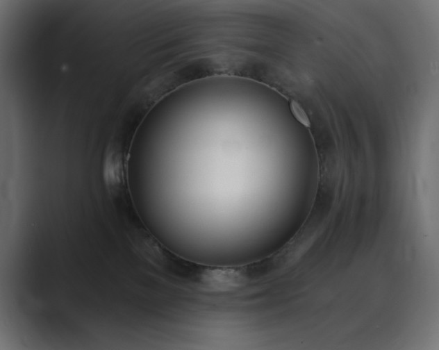 X0000089850137200706281258