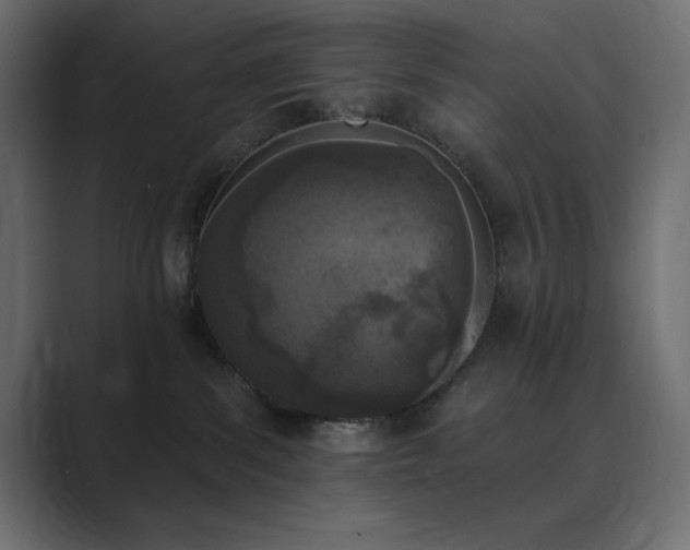 X0000089850139200706281258