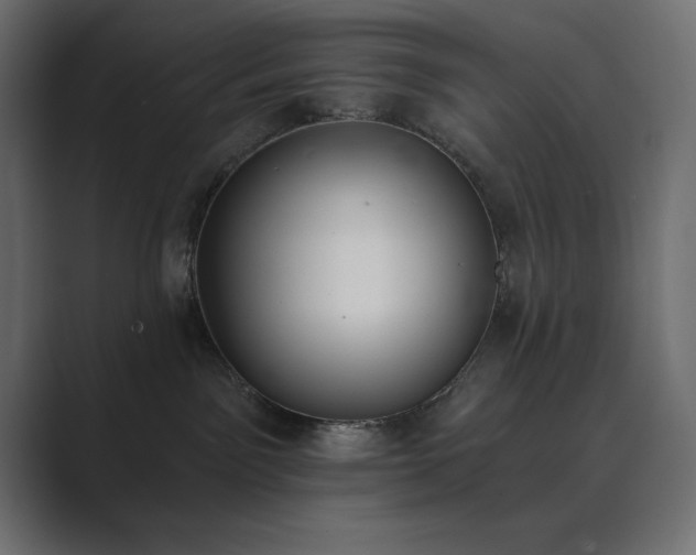 X0000089850141200706281258