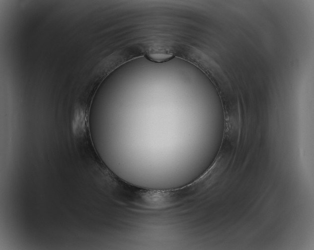 X0000089850142200706281258