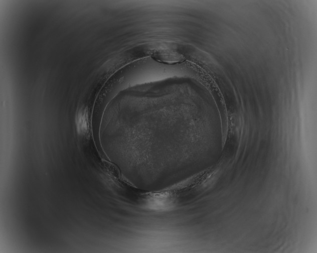 X0000089850143200706281258