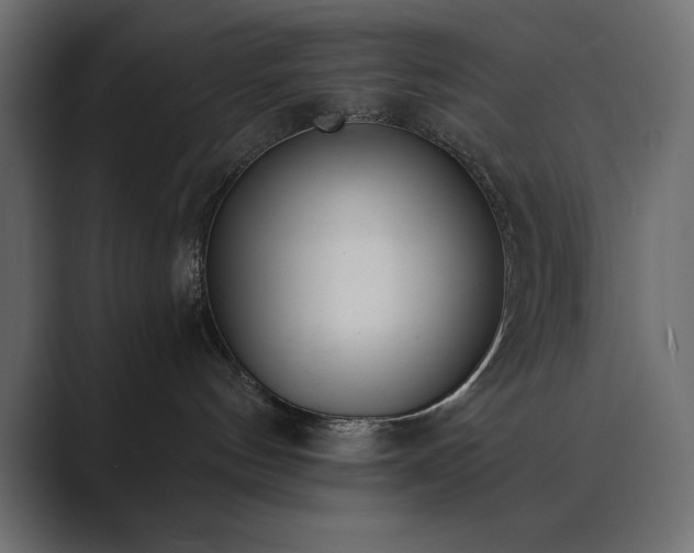 X0000089850144200706281258
