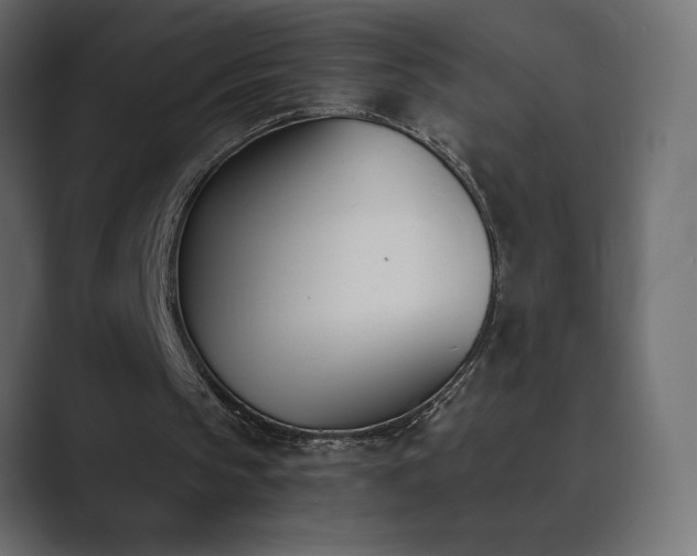 X0000089850145200706281257