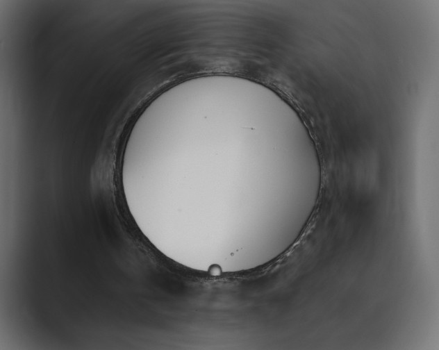 X0000089850146200706281257