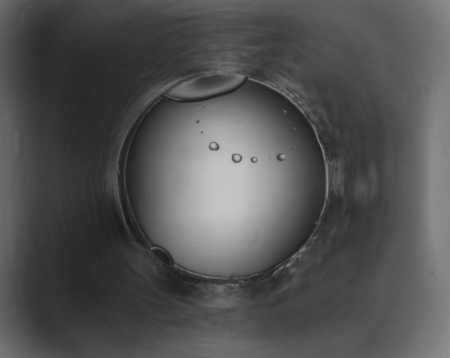 X0000089850147200706281257