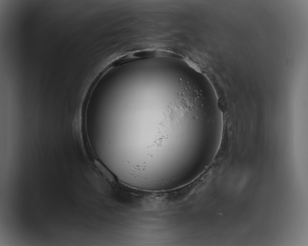 X0000089850148200706281257