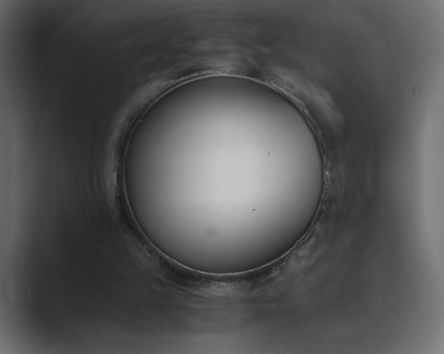 X0000089850149200706281257