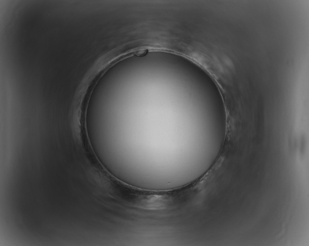 X0000089850151200706281257