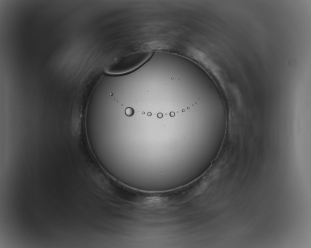 X0000089850153200706281257