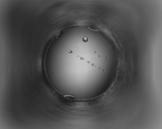 X0000089850154200706281257