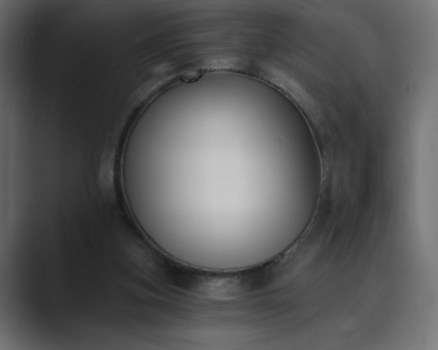 X0000089850155200706281257