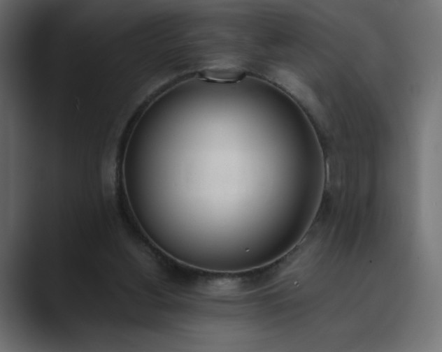 X0000089850156200706281257