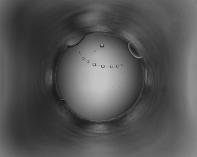 X0000089850157200706281257