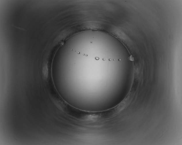 X0000089850158200706281257