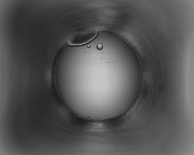 X0000089850159200706281257