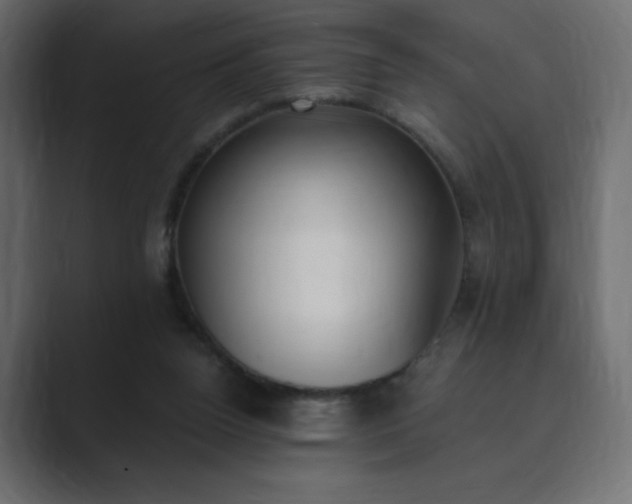 X0000089850160200706281257
