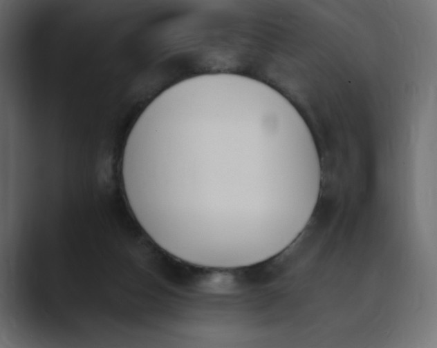 X0000089850162200706281257