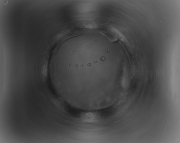 X0000089850163200706281257