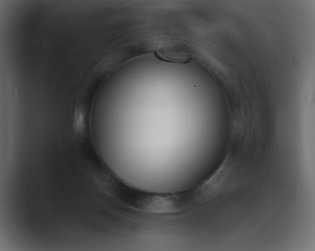 X0000089850166200706281257