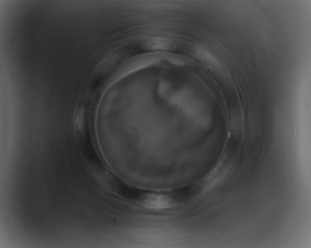 X0000089850167200706281257