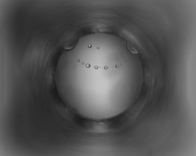 X0000089850169200706281258