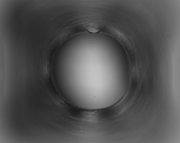 X0000089850170200706281258